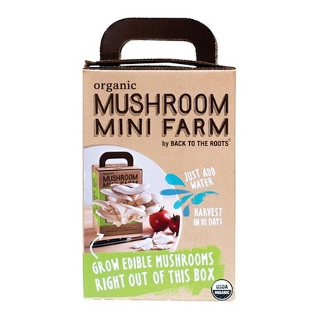 Back To The Roots 21200 0.52 oz Garden In A Can Grow Organic Cilantro BA11421